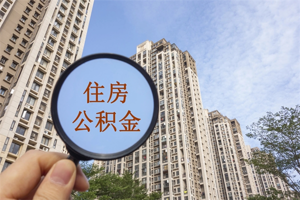 利津公积金代办（利津公积金代办费用是什么意思）